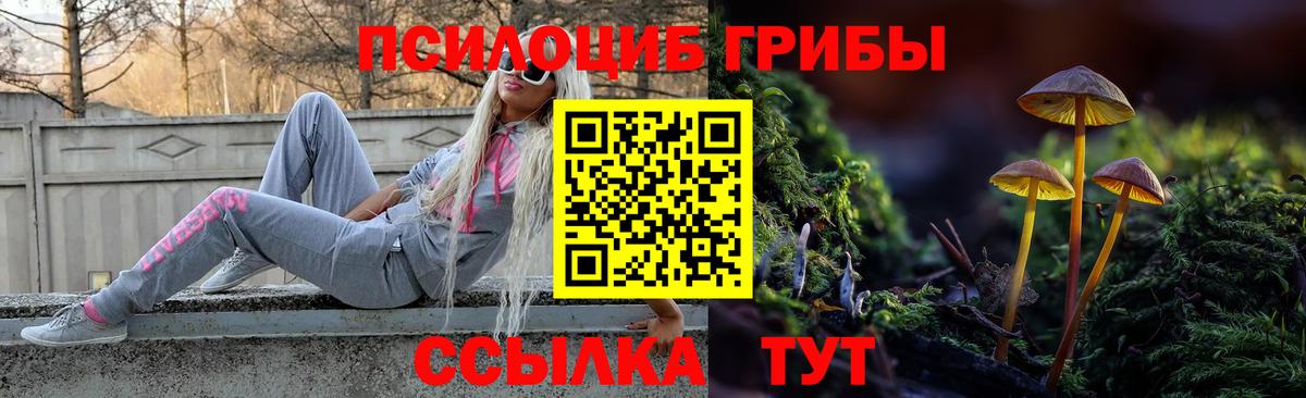 Йошкар-Ола  Галлюциногенные грибы мухоморы  Вход с VPN 